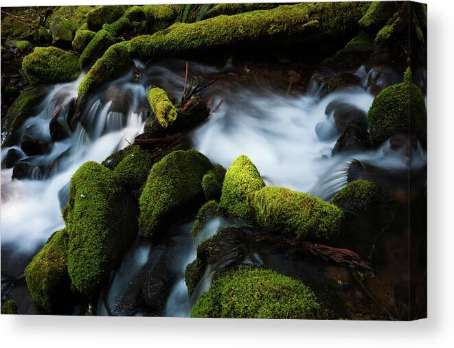 Unesco Canvas Print featuring the photograph Barnes Creek With Water Flowing Over by Mint Images - Art Wolfe