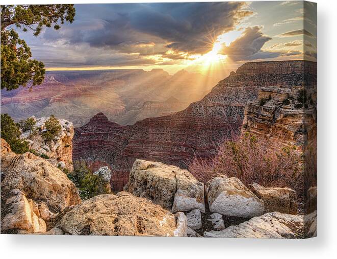 Grand Canyon Canvas Print featuring the photograph Bathed in Light by Judi Kubes