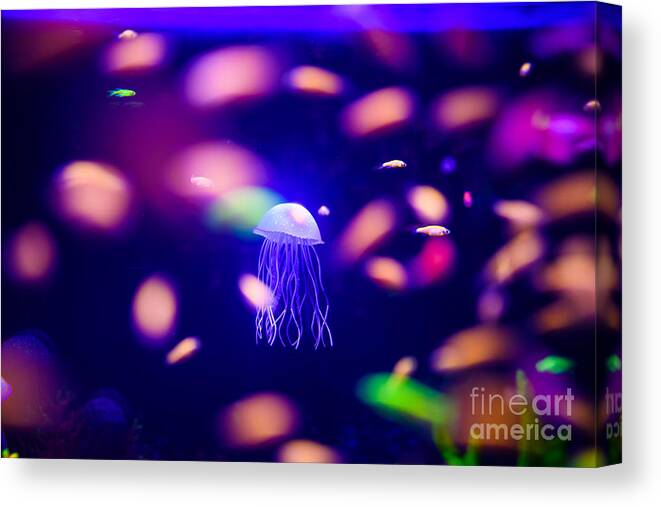 Deep Canvas Print featuring the photograph Beautiful Jellyfish Medusa In The Neon by The Len