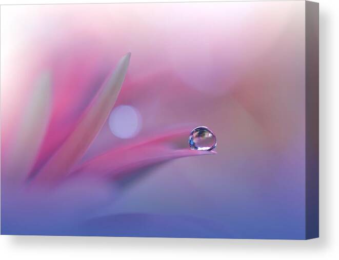Abstractnature Canvas Print featuring the photograph Beautiful Macro Photo.colorful by Juliana Nan