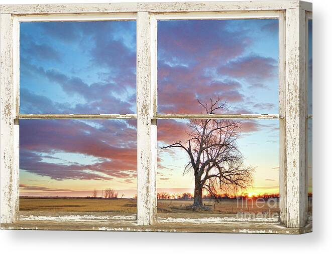Picture Canvas Print featuring the photograph Beautiful Morning Rustic White Picture Window Frame View by James BO Insogna