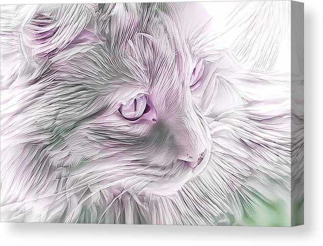 Silk Canvas Print featuring the digital art Beautiful Purple Maine Coon by Don Northup