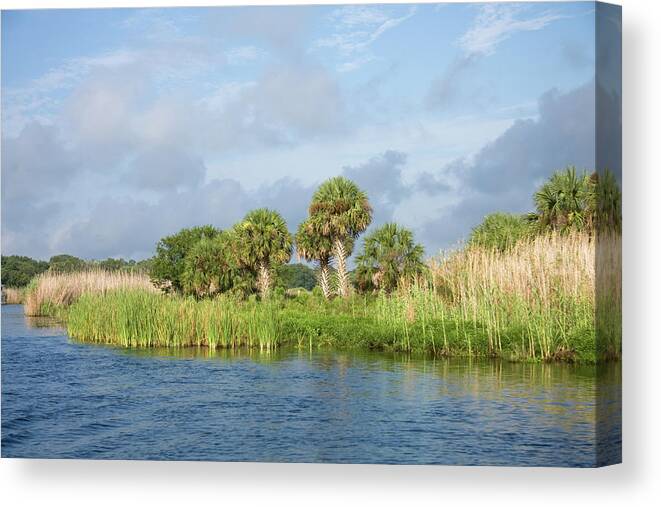 Water's Edge Canvas Print featuring the photograph Beautiful St Johns River West Of Mullet by Visionsbyatlee