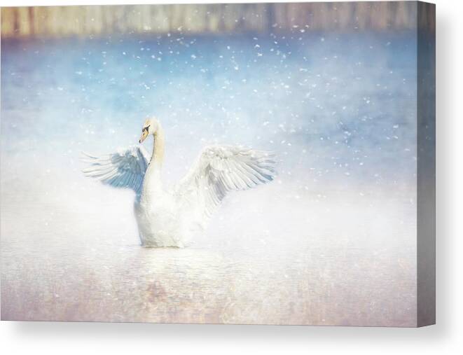 Photography Canvas Print featuring the digital art Beautiful Swan by Terry Davis