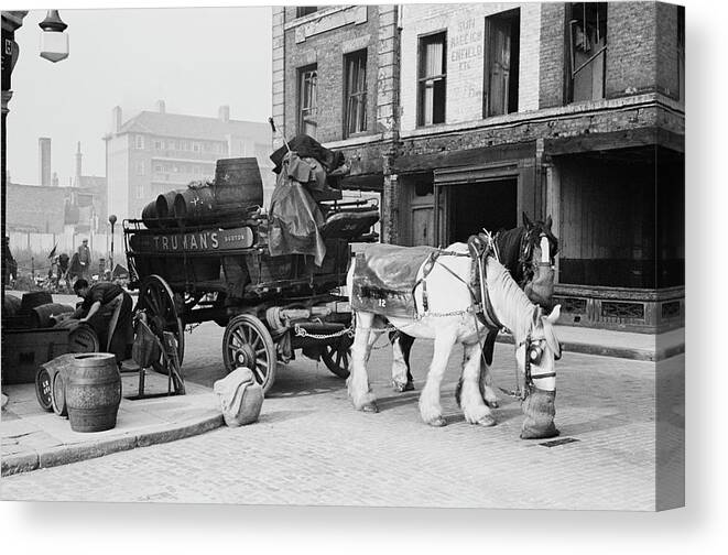 Horse Canvas Print featuring the photograph Beer And Oats by Bert Hardy