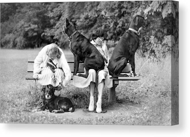 Dog Canvas Print featuring the photograph Best Friends by Jacek Stefan