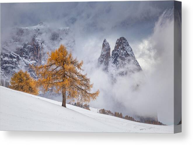 Trees Canvas Print featuring the photograph Between Seasons by Lazar Ioan Ovidiu