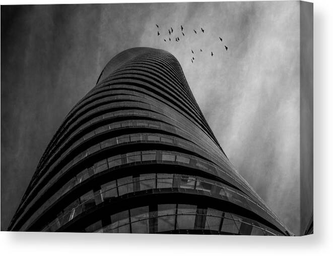 Architectur Canvas Print featuring the photograph Birds In The Sky by Inge Schuster