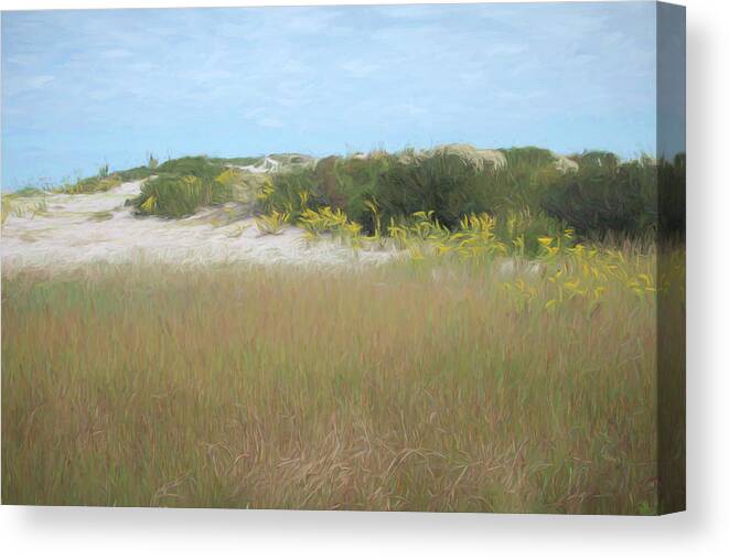 Assateague Island Canvas Print featuring the digital art Blooming Dunes by Jim Ford