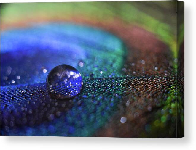 Macro Canvas Print featuring the photograph Blue Drop by Michelle Wermuth