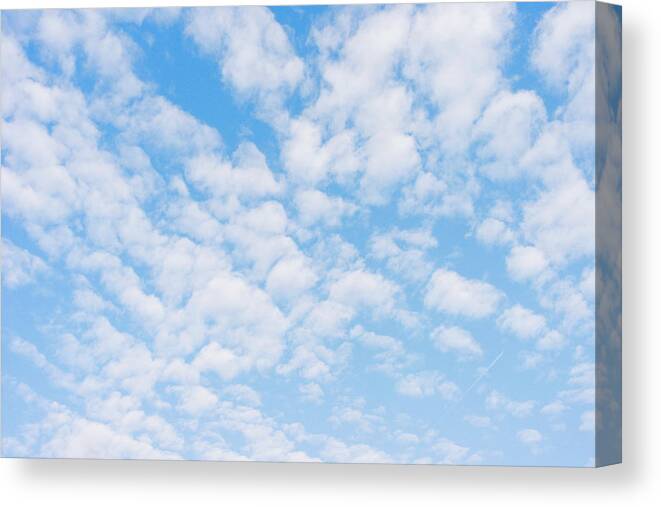 Lifestyles Canvas Print featuring the photograph Blue Sky Background by Triffitt