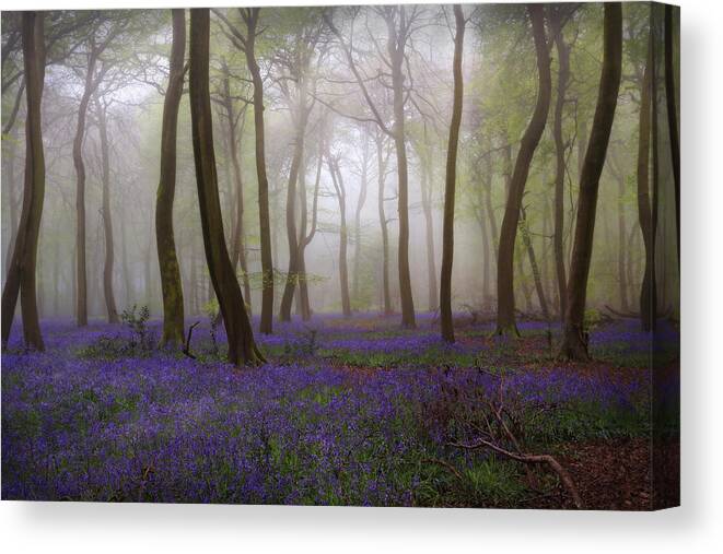 Bluebells Canvas Print featuring the photograph Bluebells In The Mist by Photokes