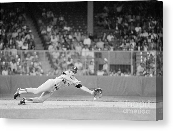 1980-1989 Canvas Print featuring the photograph Boggs Diving For Groundball by Bettmann