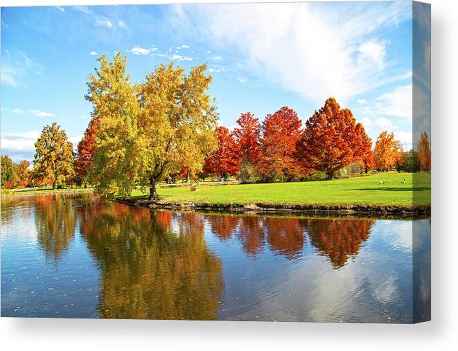 Boise Canvas Print featuring the photograph Boise Fall Foliage by Dart Humeston