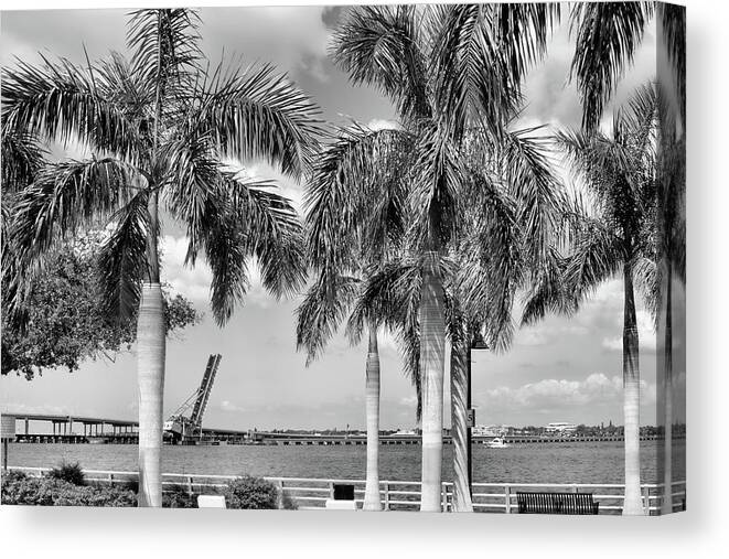 River Canvas Print featuring the photograph Bridge Through the Palms by Robert Wilder Jr