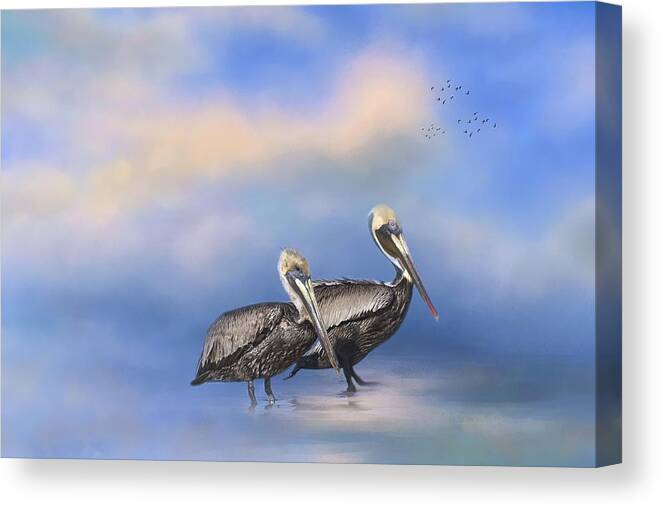 Pelican Canvas Print featuring the photograph Brown Pelicans at the Shore by Kim Hojnacki