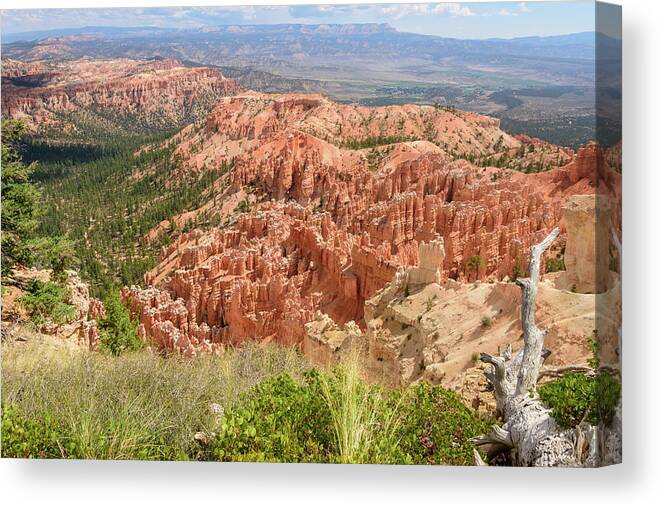 Bryce Point Canvas Print featuring the photograph Bryce Point - Bryce Canyon - Utah by Debra Martz