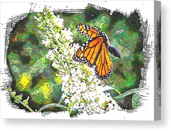 Butterfly Canvas Print featuring the photograph Butterfly in Flight by Gina Matarazzo