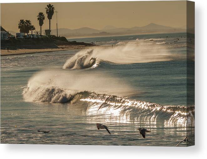 Waves Canvas Print featuring the photograph California Dreaming by Dorothy Cunningham