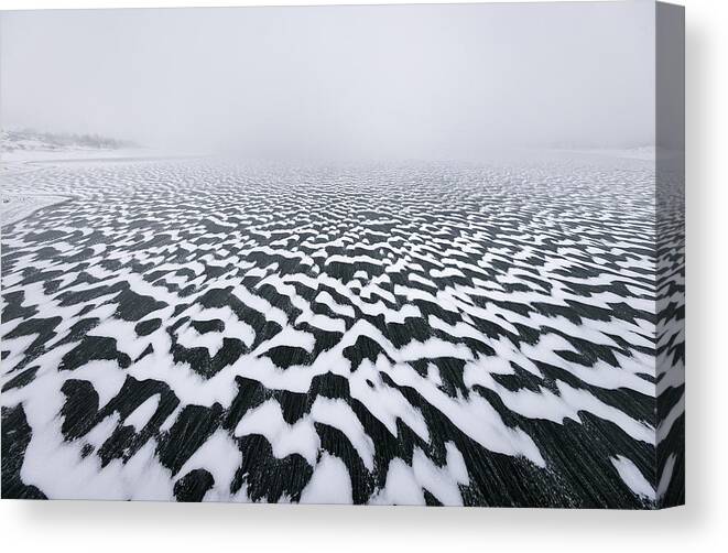 Pattern Canvas Print featuring the photograph Camouflage Lake by Riccardo Lucidi