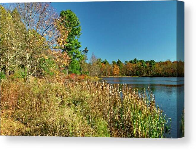 Allegheny Mountains Canvas Print featuring the photograph Camp William Penn Lake by Michael Gadomski