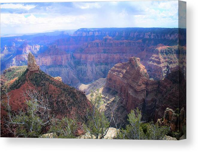 Grand Canyon Canvas Print featuring the photograph Canyon Adventures by Michelle Anderson