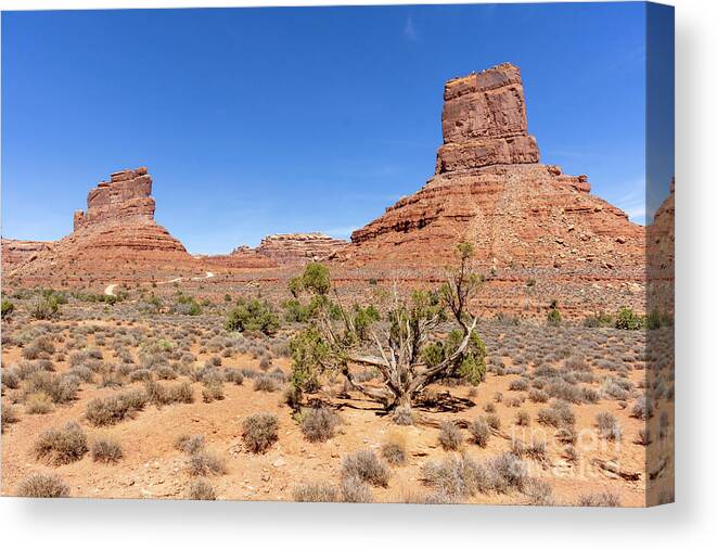 Bureau Of Land Management Canvas Print featuring the photograph Castle Butte and other formations in Valley of the Gods near Mex by William Kuta