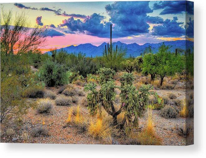 Southwest Canvas Print featuring the photograph Catalina Mountains and Sonoran Desert Twilight by Chance Kafka