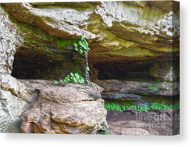 Tennessee Canvas Print featuring the photograph Caves In A Cliff by Phil Perkins