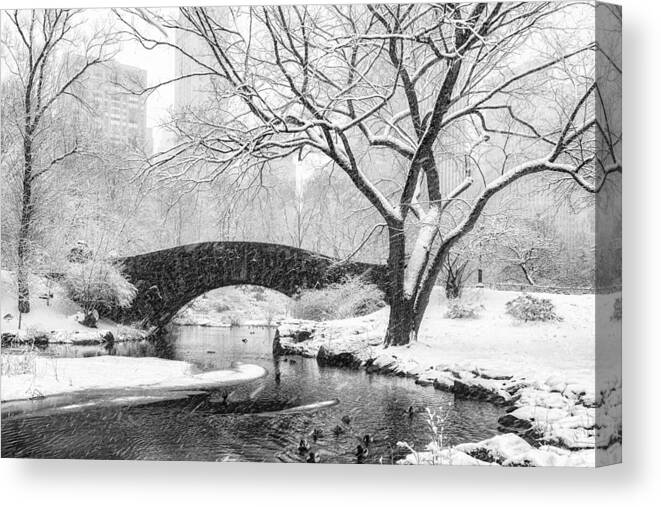 Central Park Canvas Print featuring the photograph Central Park Snow by Alice Sheng