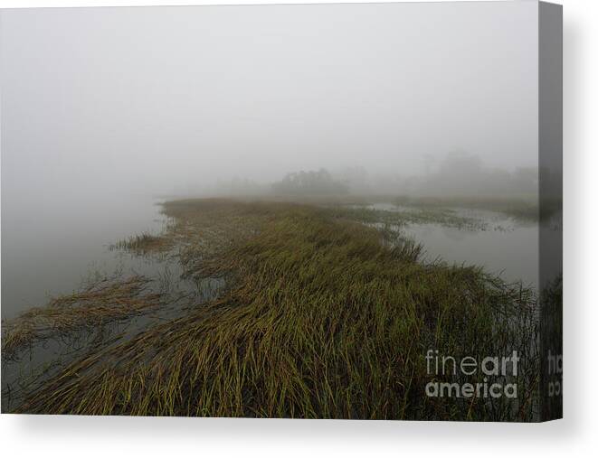 Fog Canvas Print featuring the photograph Charleston Fog - Wando River by Dale Powell