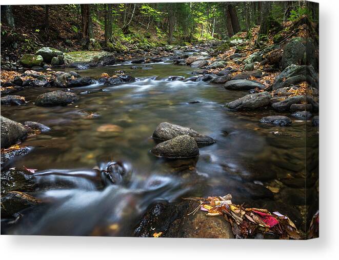 Chase Brook Canvas Print featuring the photograph Chase Brook by Brenda Petrella Photography Llc