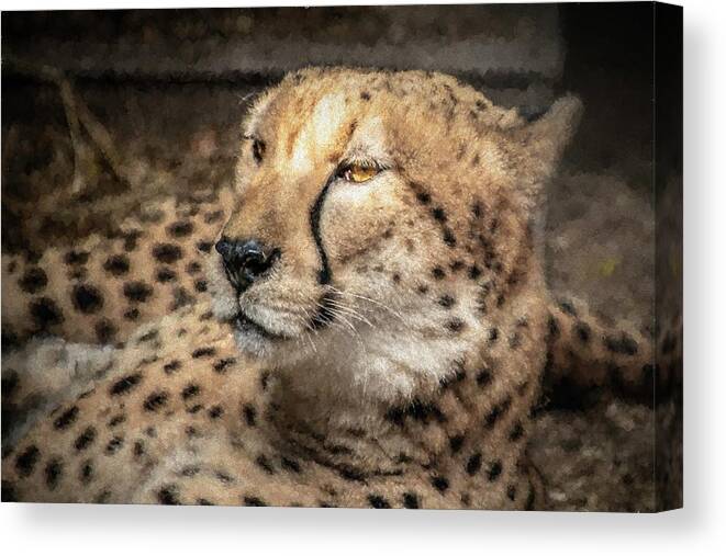 Cheetah Canvas Print featuring the digital art Cheetah by Scott Mullin