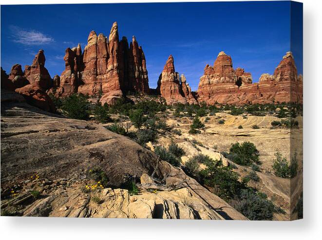Weathered Canvas Print featuring the photograph Chesler Park Trail In Needles Region by Lonely Planet
