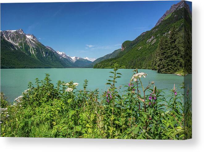 Alaska Canvas Print featuring the photograph Chilkat Lake Alaska by Douglas Wielfaert