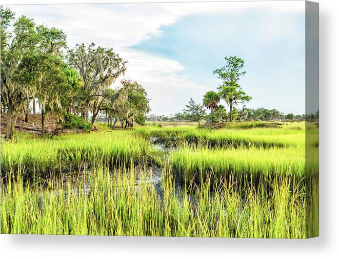 Marsh Canvas Print featuring the photograph Chisolm Island - Marsh at Low Tide by Scott Hansen