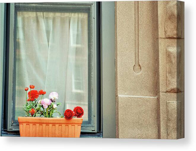 Apartment Canvas Print featuring the photograph City Blooms by JAMART Photography