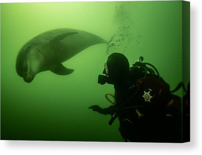 Diving Canvas Print featuring the photograph Close Encounter by 2tanksphotography