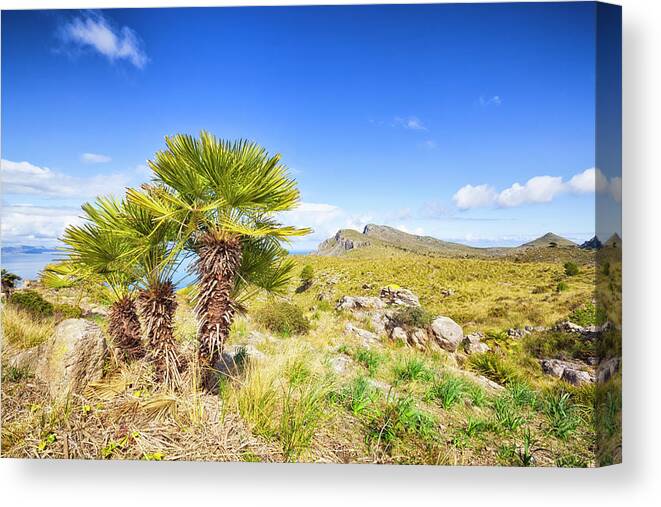 Scenics Canvas Print featuring the photograph Coastal Mountain Of Majorca Spain by Cinoby