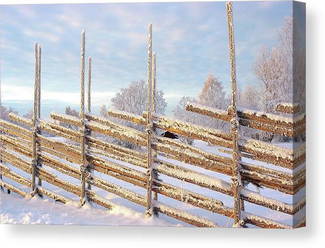 Winter Canvas Print featuring the photograph Cold Winter Morning by Anders Ludvigson