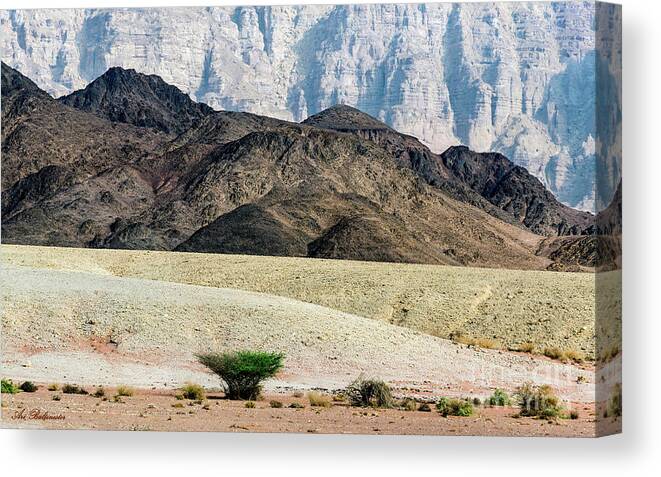 Desert Canvas Print featuring the photograph Color layers in the desert by Arik Baltinester