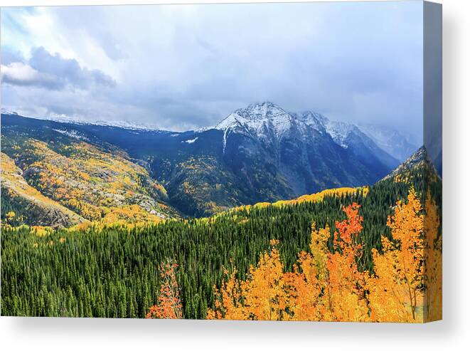 Aspen Tree Canvas Print featuring the photograph Colorado Aspens and Mountains 3 by Dawn Richards