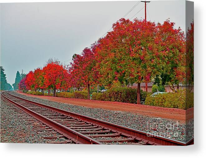 Fall Canvas Print featuring the photograph Colorful Fall along the Railroad, Cupertino by Amazing Action Photo Video