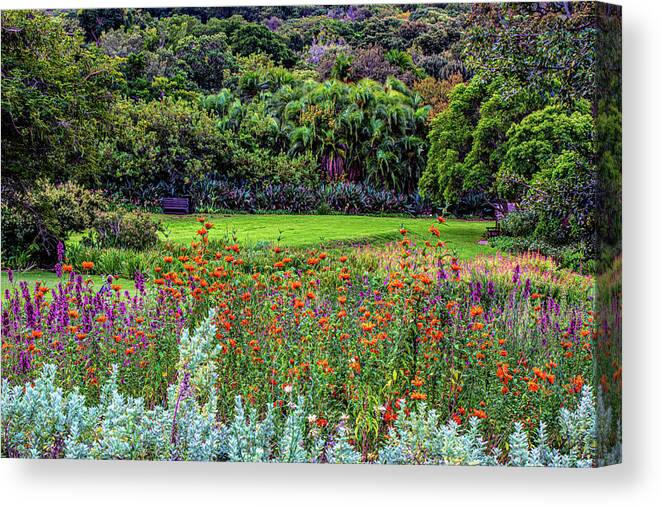 Cape Town Canvas Print featuring the photograph Colorful Kirstenbosch Gardens by Douglas Wielfaert