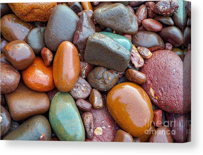 Stone Canvas Print featuring the photograph Colorful Wet Stones by Susan Rydberg