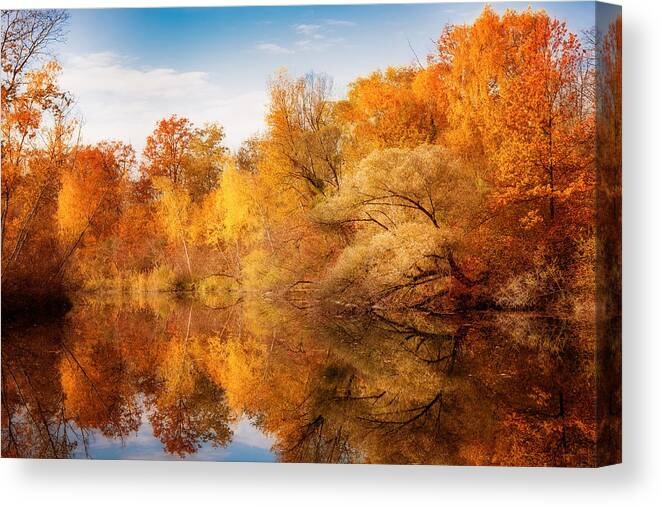 Forest Canvas Print featuring the photograph Colors Explosion by Philippe Sainte-Laudy
