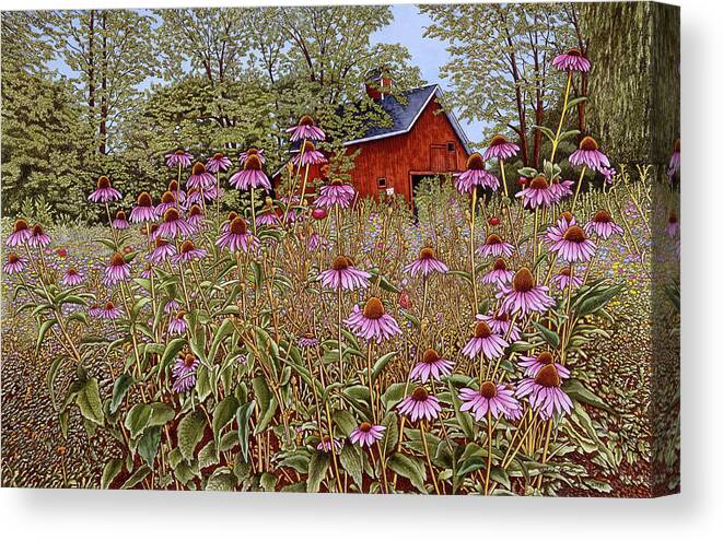 Pink Cone Flowers In Field With Barn In Background Canvas Print featuring the painting Cone Flowers by Thelma Winter