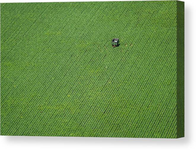 Minimal Canvas Print featuring the photograph Corn Field by H?br Szabolcs