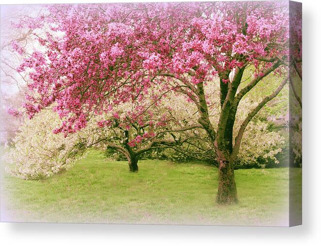 Spring Canvas Print featuring the photograph Crabapple Confection by Jessica Jenney