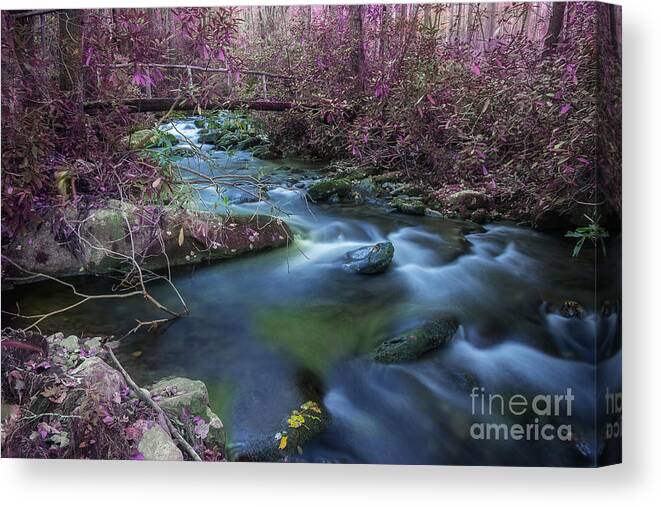 Rustic Bridge Canvas Print featuring the photograph Crossing Over by Mike Eingle